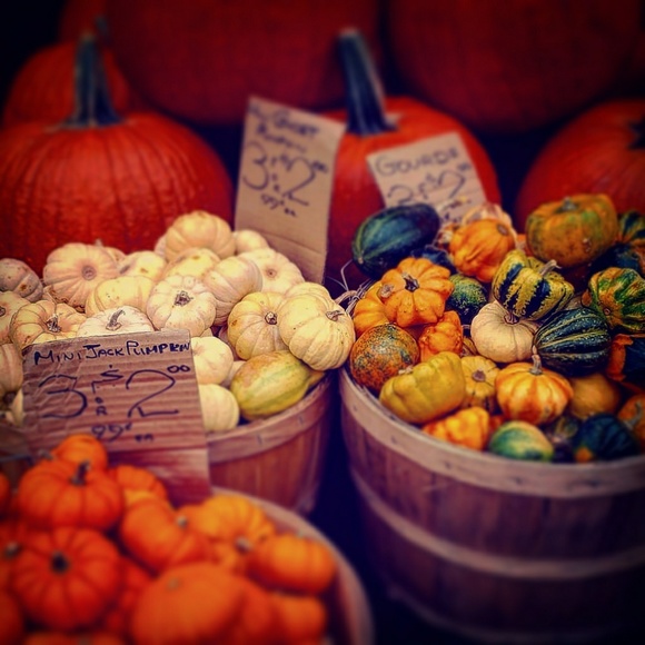 Meet your Posher, Mala - Picture 1 of 1